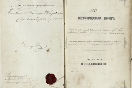 1871. Метрическая книга.
