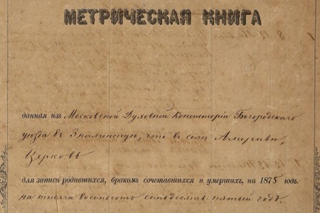 1875. Метрическая книга.