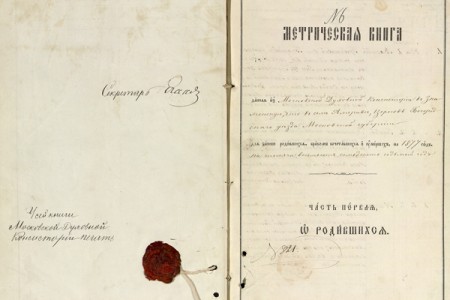 1877. Метрическая книга.