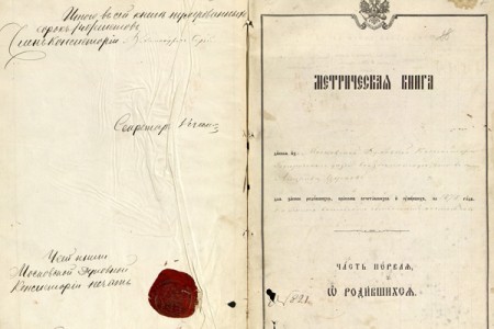1878. Метрическая книга.