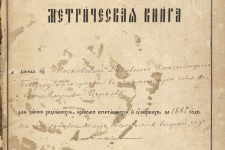 1882. Метрическая книга.