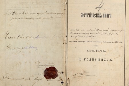1910. Метрическая книга.