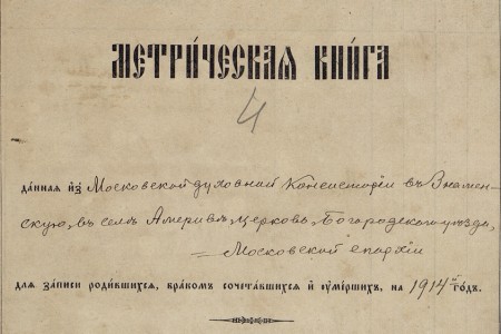 1914. Метрическая книга.