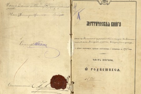 1913. Метрическая книга.