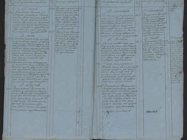 Метрическая книга Знаменская церковь села Амерево за 1811год.