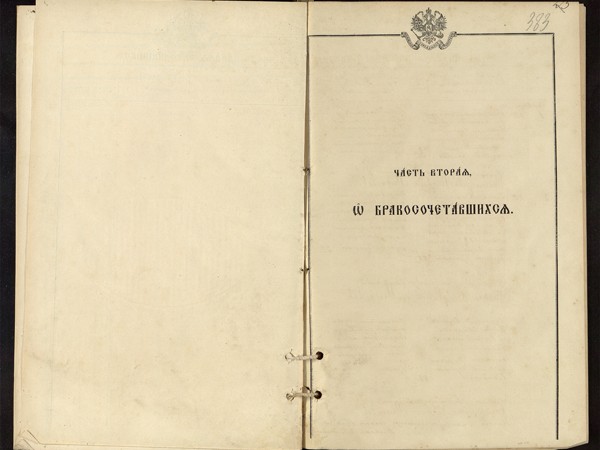 Метрическая книга Знаменская церковь села Амерево за 1913г. О бракосочетавшихся.