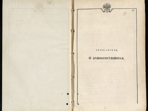 Метрическая книга Знаменская церковь села Амерево за 1880г. О бракосочетавшихся.